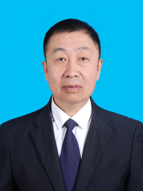 杨  龙